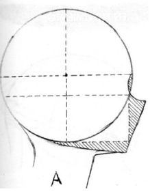 a drawing of a man's head with lines drawn across the top and bottom