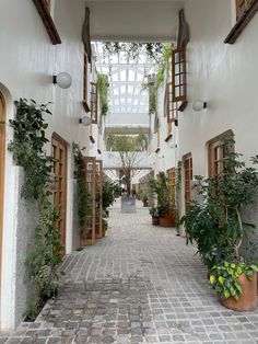 an alley way with potted plants on either side and open windows above the walkway