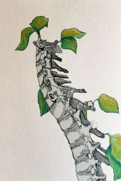 a drawing of a tree with green leaves growing from it's trunk and roots