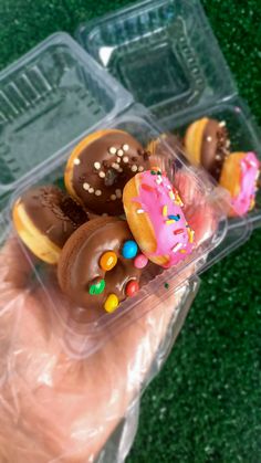 a hand holding a plastic container filled with donuts