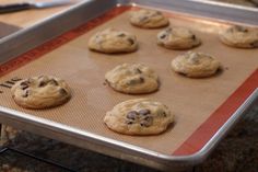 chocolate chip cookies on a baking sheet ready to be baked in the oven or used as an appliance