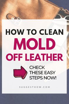 Leather Cleaner Diy, Cleaning Leather Couch, Mold And Mildew Remover, Easy Cleaning Hacks, Leather Bible, Deep Cleaning Tips, Household Cleaning Tips, Mold Remover