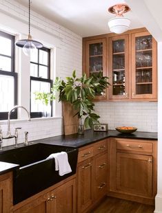 a kitchen with wooden cabinets and black counter tops, along with a large potted plant