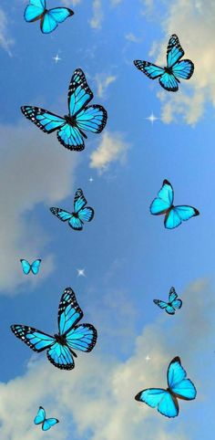 many blue butterflies flying in the sky