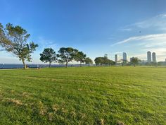 a grassy field with trees and water in the background