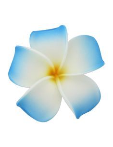 Large Plumeria White Blue Flower Hair Clip Blue Plumeria, Foam Flower, Alligator Hair Clip, White And Blue Flowers, Flower Hair Clip, Foam Flowers, Hawaiian Dress, Bunch Of Flowers, Flower Hair Clips