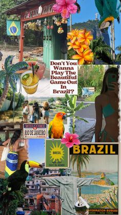 a collage of pictures with birds, flowers and people in rio - da - salvador