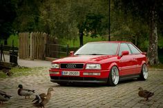 a red car parked on the side of a brick road next to ducks and trees