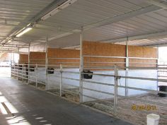 several cows are in their stalls at the farm