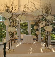 an outdoor wedding setup with white flowers and branches