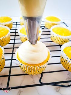 cupcakes with frosting being piped into the icing