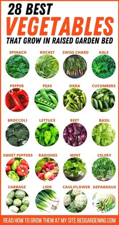 the 28 best vegetables that grow in raised garden beds