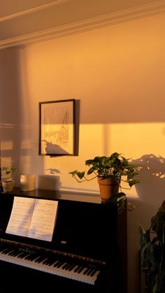 a piano sitting in front of a window next to a potted plant on top of a table