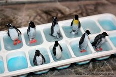 there are many small penguins in an ice tray