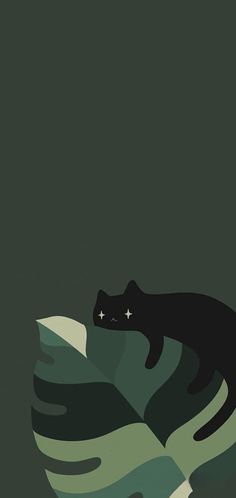 a black cat laying on top of a green leafy plant with stars in the sky