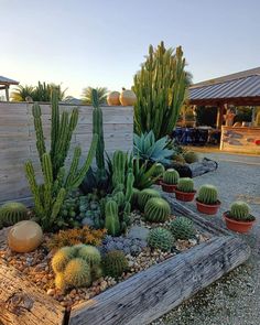 a wooden planter filled with lots of different types of cactuses and succulents