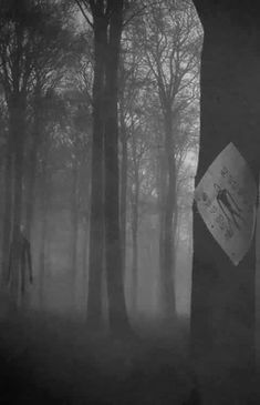 a man walking through the woods in the fog