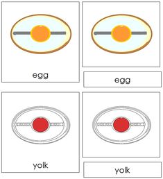 an egg and yolk are shown in four separate pictures, each with different words