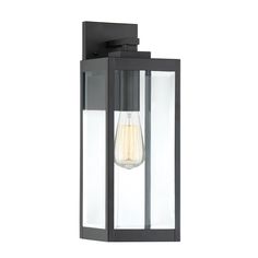 an outdoor wall light with a bulb on the side and glass panels in black finish