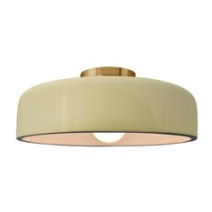 an image of a light fixture on a white background