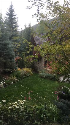 a house in the woods with lots of trees and flowers on the grass near it