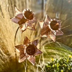 three glass flowers sitting on top of a lush green field