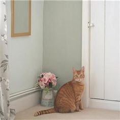 an orange cat sitting on the floor next to a vase with flowers