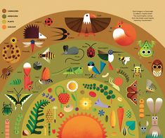 an image of a circle with many different animals and plants around it, all in the same color scheme