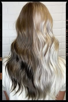 Blond And Brunette Hair Half, Light Brown And Silver Hair, Half Brown Half White Hair, Hair Color Ideas Half And Half, Half Dark Half Light Hair, Half Brunette Half Blonde Hair, Natural Split Dye Hair