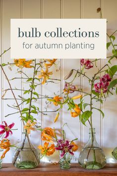 vases filled with flowers sitting on top of a wooden table next to a wall