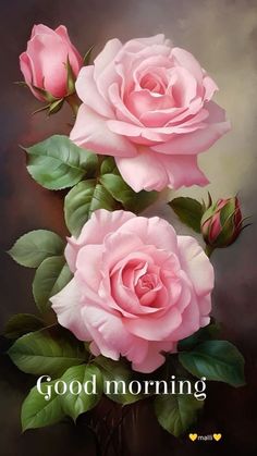 two pink roses are in a vase with the words good morning