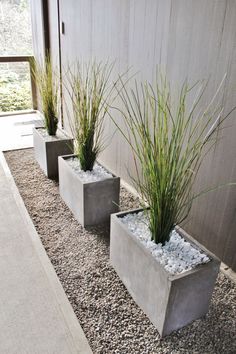 three cement planters with grass growing in them