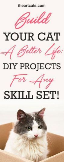 a cat sitting in a cardboard box with the words build your cat a better life, diy projects for any skill set