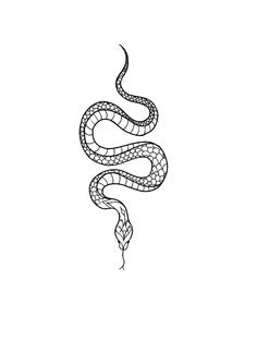 a black and white drawing of a snake