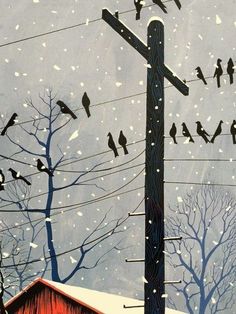 there are many birds perched on power lines in the winter time, and one is looking up