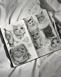 an open book with drawings of cats on it's pages and pencils in front of them