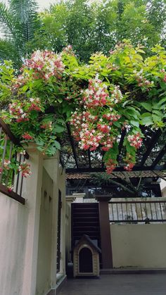 an outdoor dog house with flowers on the roof and stairs leading up to it's entrance