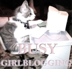 a small kitten sitting on top of a white desk