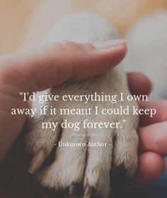 Losing A Dog, Losing A Pet, Dog Memorial