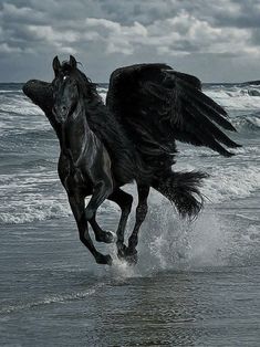 two black horses running on the beach with their wings spread out and feet in the water