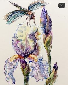 a drawing of a dragonfly sitting on top of a purple and white iris flower