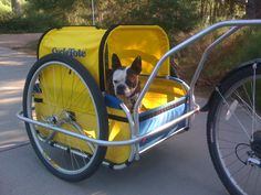 a dog is sitting in the back of a bike with a yellow cart attached to it