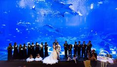 a group of people standing in front of a large aquarium