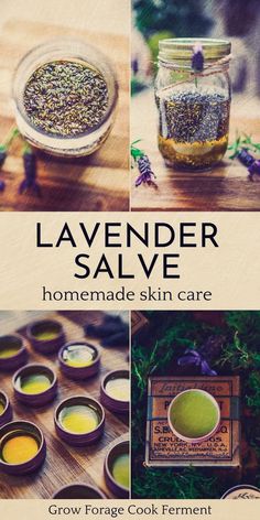 Herb Closet, Apothecary Garden, Lavender Salve, Herbal Salve Recipes, Medicinal Flowers, Herbs Medicine, Body Care Recipes, Survival Preparedness, Herbal Medicine Recipes