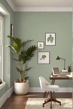 a home office with green walls and white chairs in front of a wooden desk topped with a potted plant