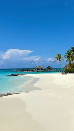 an empty beach with palm trees on the shore and blue water in the ocean behind it