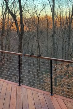 two birds are perched on the rail of a deck overlooking trees and hills in the distance