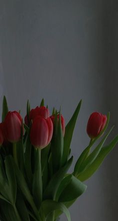 a vase filled with red flowers on top of a white table next to a wall