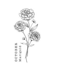 a drawing of flowers on a white background with the words, october written in black ink