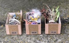 three boxes with plants in them sitting on the ground